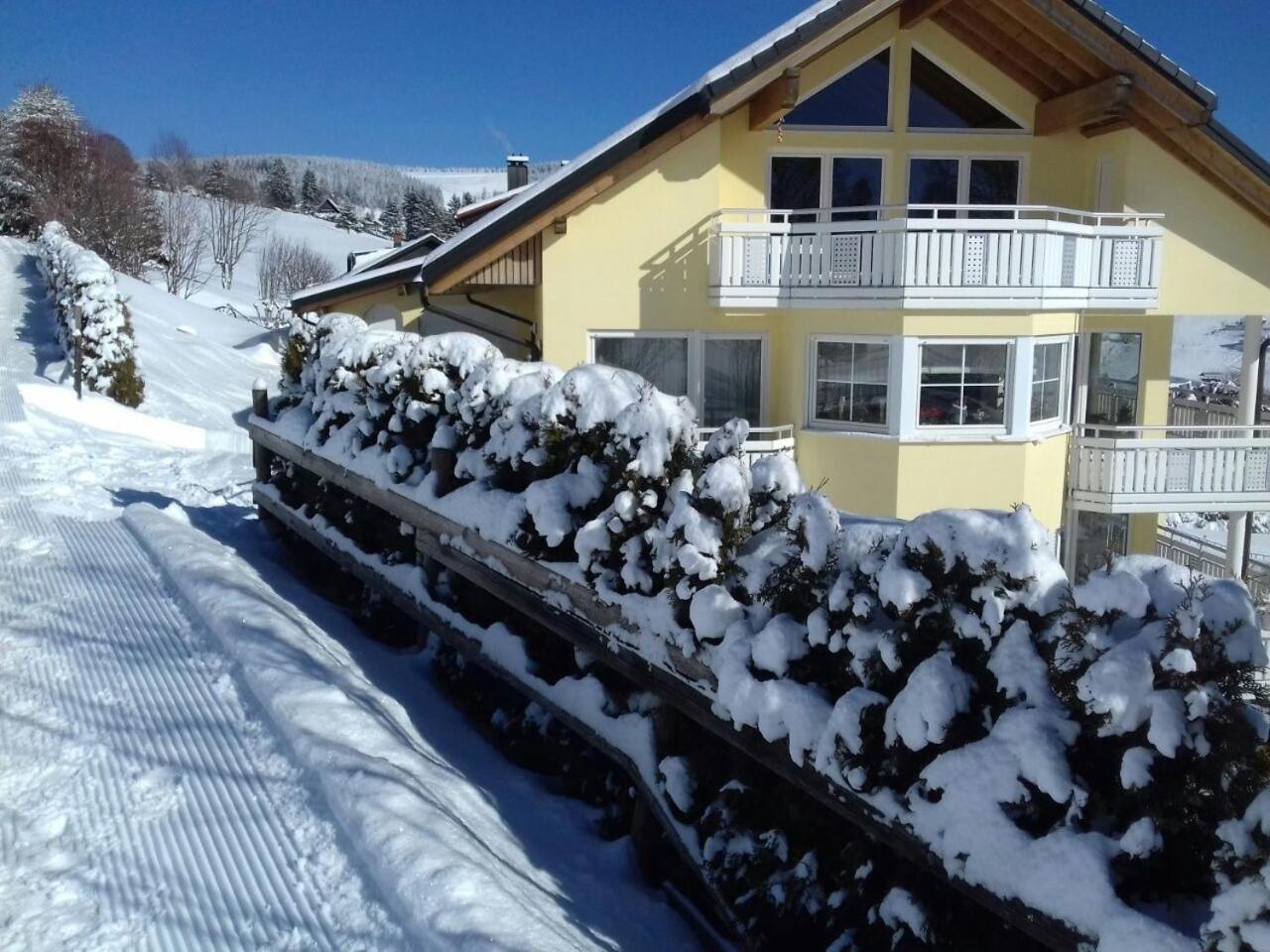 "Schwarzwaldblick" Ferienwohnung 2-4 Pers 65Qm, Schoene Ruhige Suedhanglage Mit Herrl Aussicht Todtnau Eksteriør billede