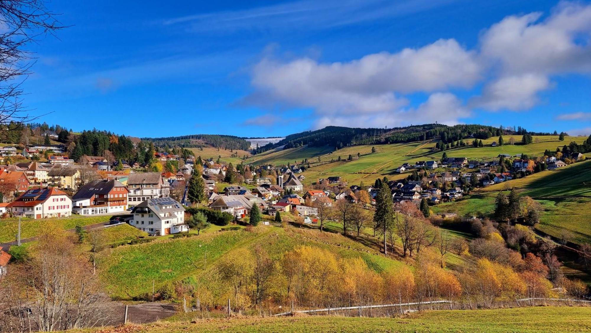 "Schwarzwaldblick" Ferienwohnung 2-4 Pers 65Qm, Schoene Ruhige Suedhanglage Mit Herrl Aussicht Todtnau Eksteriør billede