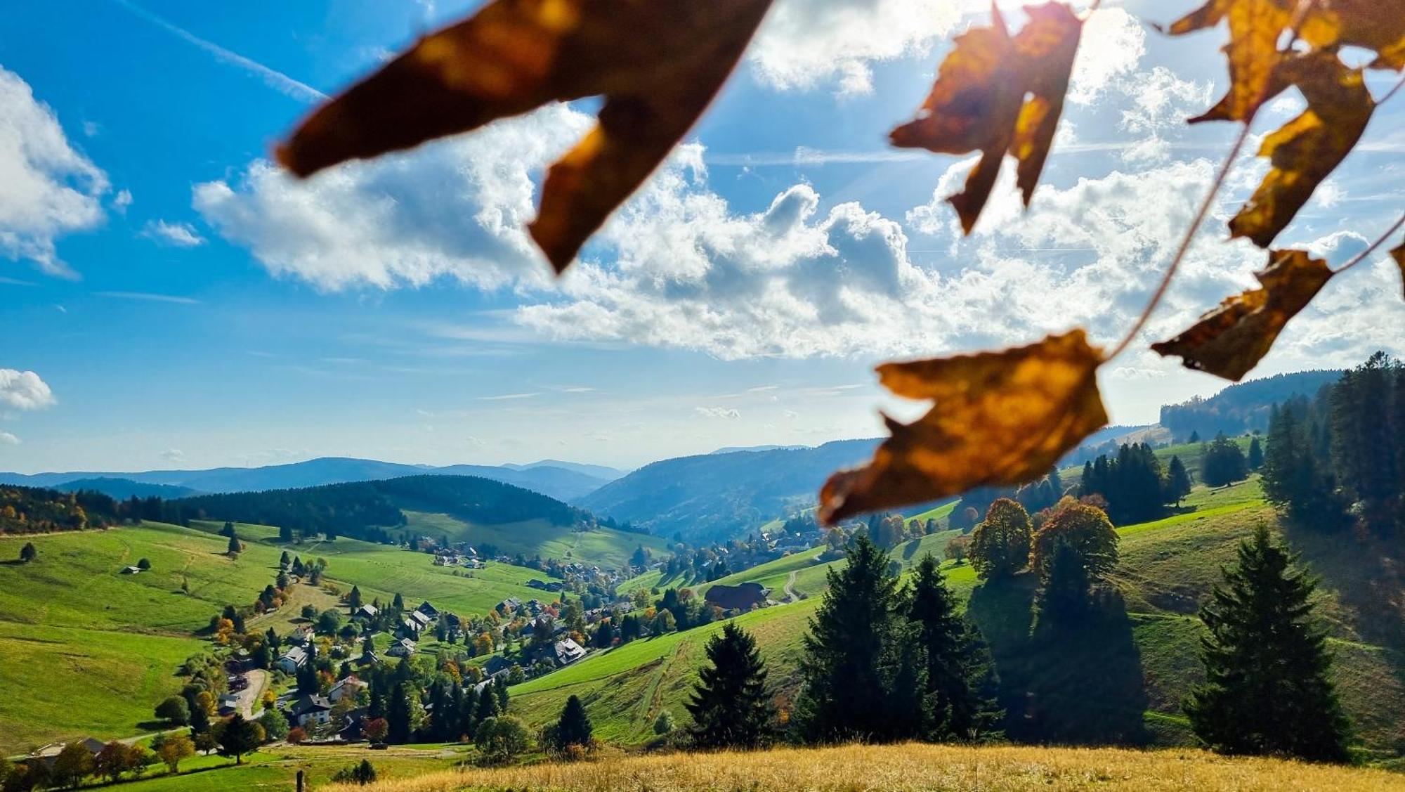 "Schwarzwaldblick" Ferienwohnung 2-4 Pers 65Qm, Schoene Ruhige Suedhanglage Mit Herrl Aussicht Todtnau Eksteriør billede