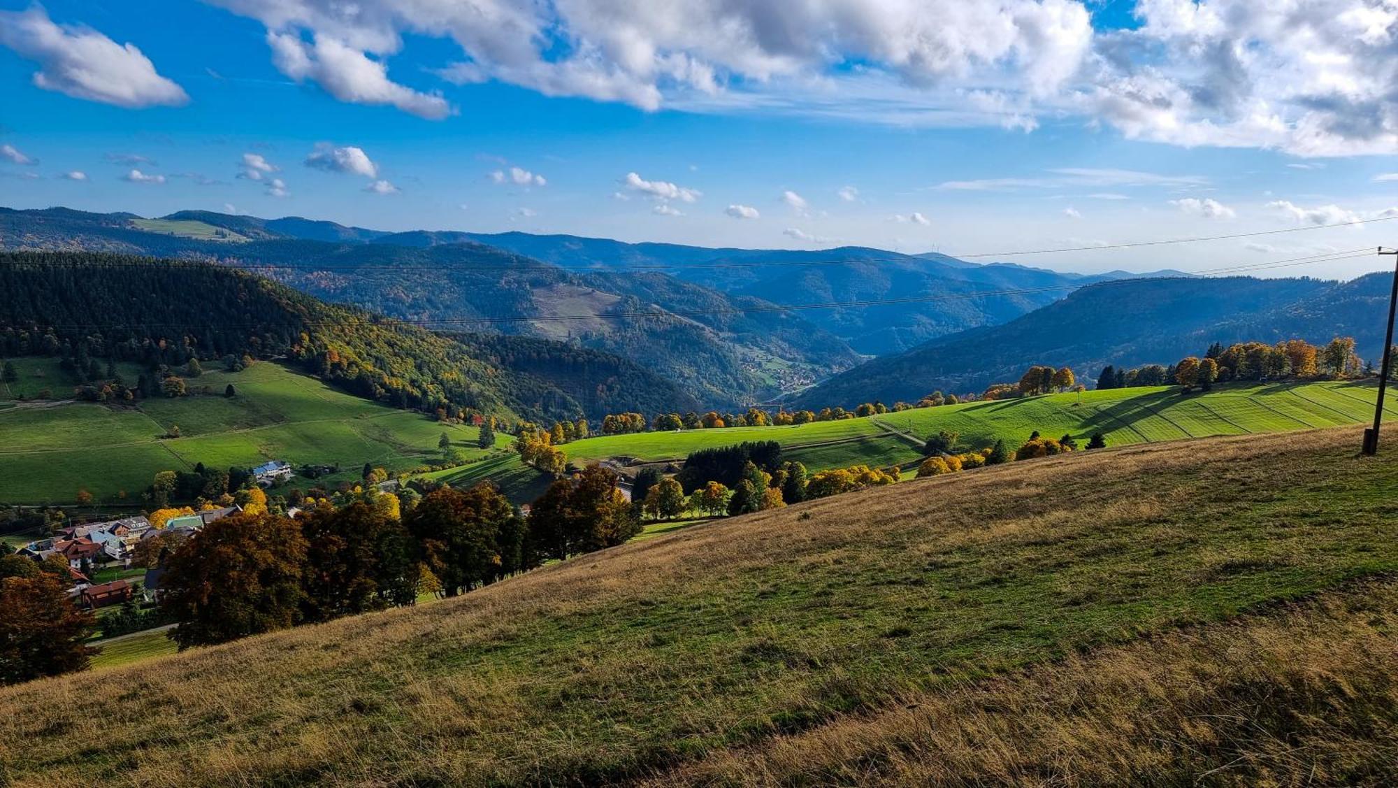 "Schwarzwaldblick" Ferienwohnung 2-4 Pers 65Qm, Schoene Ruhige Suedhanglage Mit Herrl Aussicht Todtnau Eksteriør billede